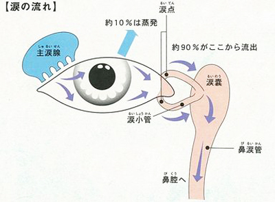 涙の流れ